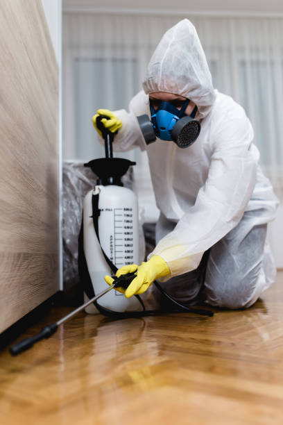 Best Fumigation Services  in Durham, NC